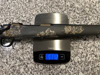 IMG_1537.JPEG