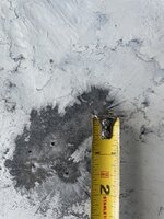 IMG_2163.jpeg IMG_2163.jpeg