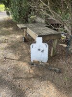 IMG_2165.jpeg IMG_2165.jpeg