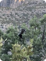 IMG_2976.jpeg