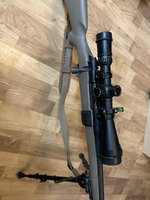 IMG_0532.jpeg