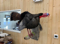 IMG_1914.jpeg IMG_1914.jpeg