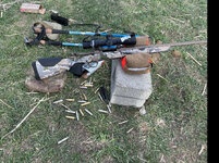 IMG_8401.jpeg
