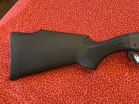 IMG_8527.jpg