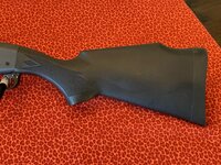 IMG_8539.jpg