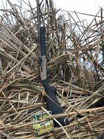 IMG_3195.jpeg