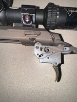 IMG_8411.jpeg