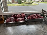 IMG_0824.jpeg