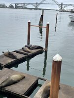 IMG_1911.jpeg