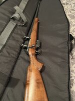 IMG_3209.jpeg