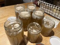 IMG_4465.jpeg