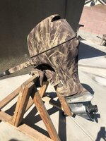 IMG_6148.jpeg