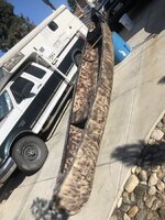 63010316666__BF153689-B6FF-4E38-9B91-6F0A1DE3696D.jpeg