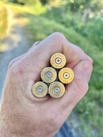 IMG_3508.jpeg