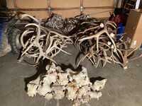 antlers-sale.jpeg