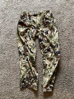 IMG_2883.JPEG