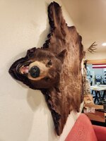 20240213_161228.jpg