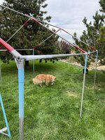 IMG_8086.jpeg