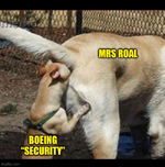 1714665076762.png