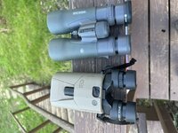 IMG_3868.JPEG