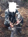 blacktail1.jpg