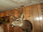 Misc. 2014 052.JPG
