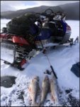 icon pro_ice fish.JPG