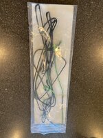 IMG_8533.jpeg