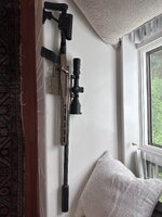 IMG_3109.jpeg