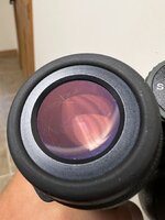 IMG_2412.jpeg