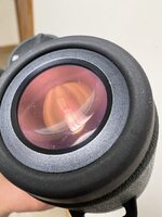 IMG_2411.jpeg