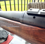 IMG_2393.jpeg