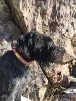 IMG_1633.jpeg