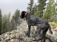 IMG_1947.jpeg