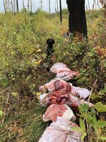 IMG_1980.jpeg