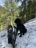 IMG_3106.jpeg