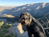 IMG_3586.jpeg