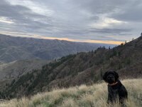 IMG_7535.jpeg