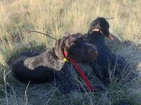 IMG_7399.jpeg