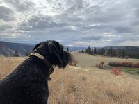 IMG_3709.jpeg