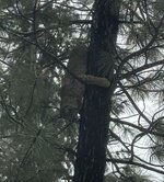 IMG_6817.jpeg