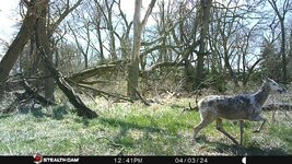 IMG_6773.jpeg