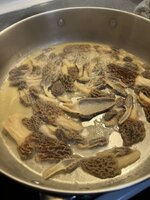 IMG_2246.jpeg