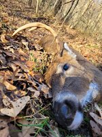 20201128_141002.jpg