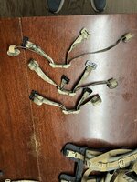 IMG_3206.jpeg