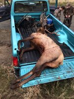 IMG_2065.jpeg IMG_2065.jpeg