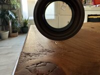 IMG_2795.jpeg