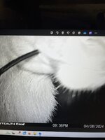 IMG_6602.jpeg
