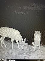 IMG_6601.jpeg