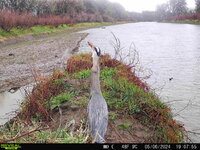 IMG_4891.jpeg